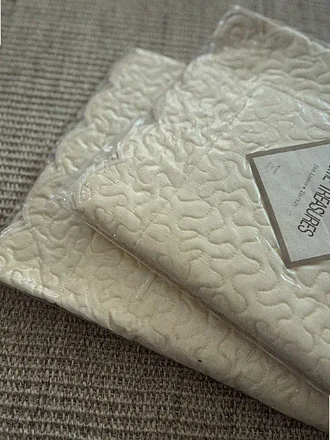 NIP Home Treasures VermIcelli Quilted King Sham Pair